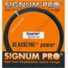 Signum Pro Hyperion 12m