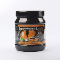 Headstart Focus Plus 500g