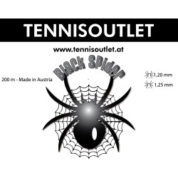 Black Spider 12m von der Rolle