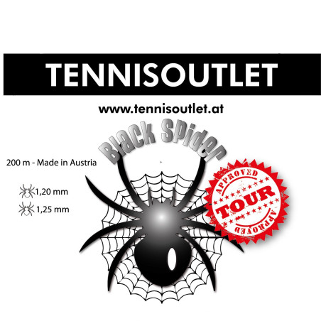 Black Spider Tour 12m von der Rolle