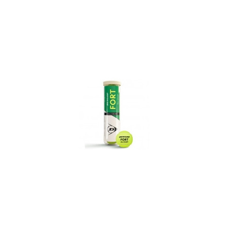 Dunlop Fort All Court TS 4er