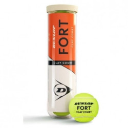 Dunlop Fort Clay 4er Dose